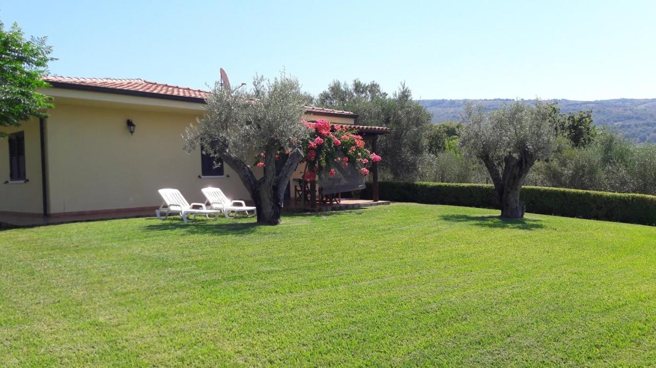 Villa Mimosa Tropea Ricadi Kültér fotó