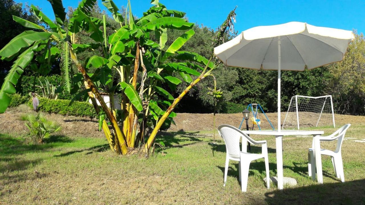 Villa Mimosa Tropea Ricadi Kültér fotó