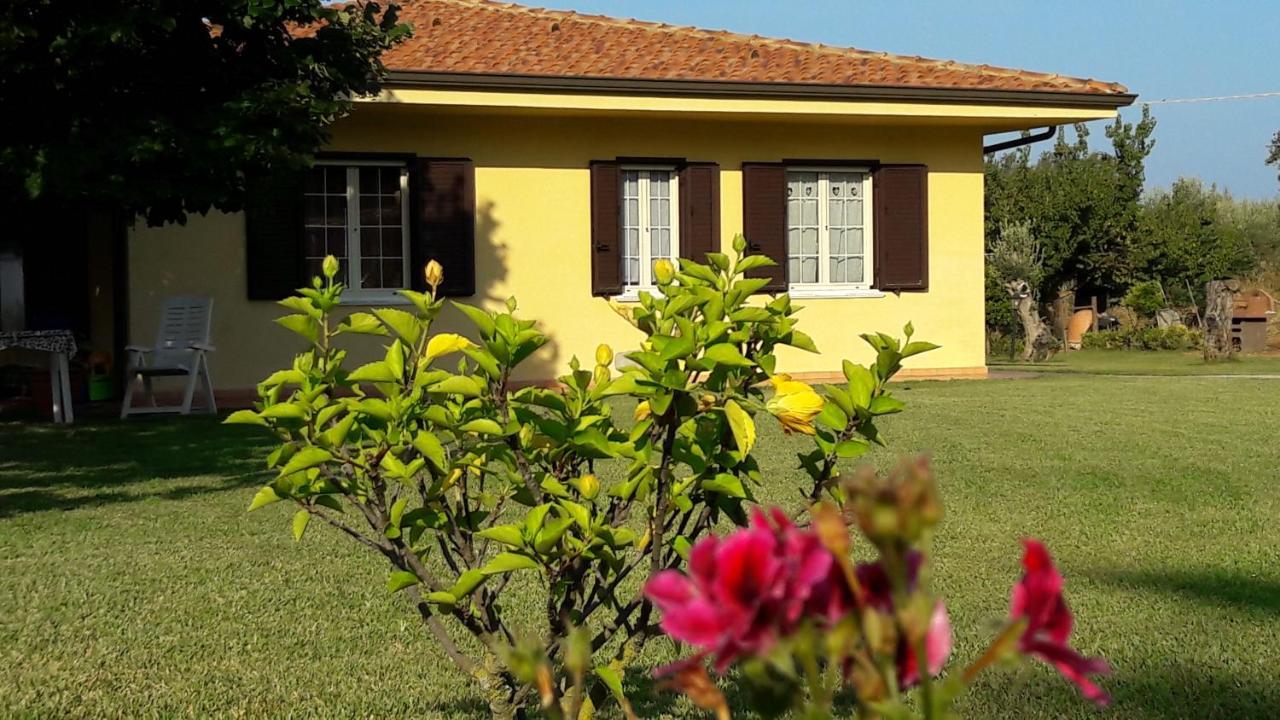 Villa Mimosa Tropea Ricadi Kültér fotó