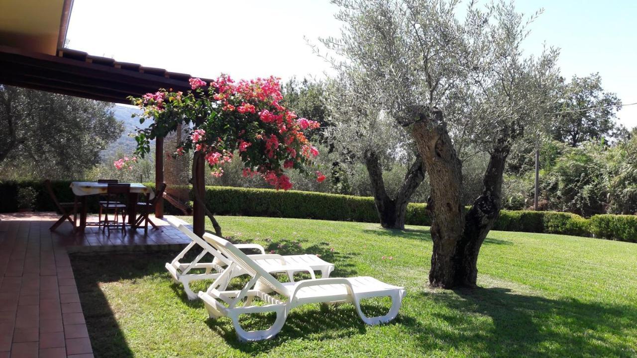 Villa Mimosa Tropea Ricadi Kültér fotó