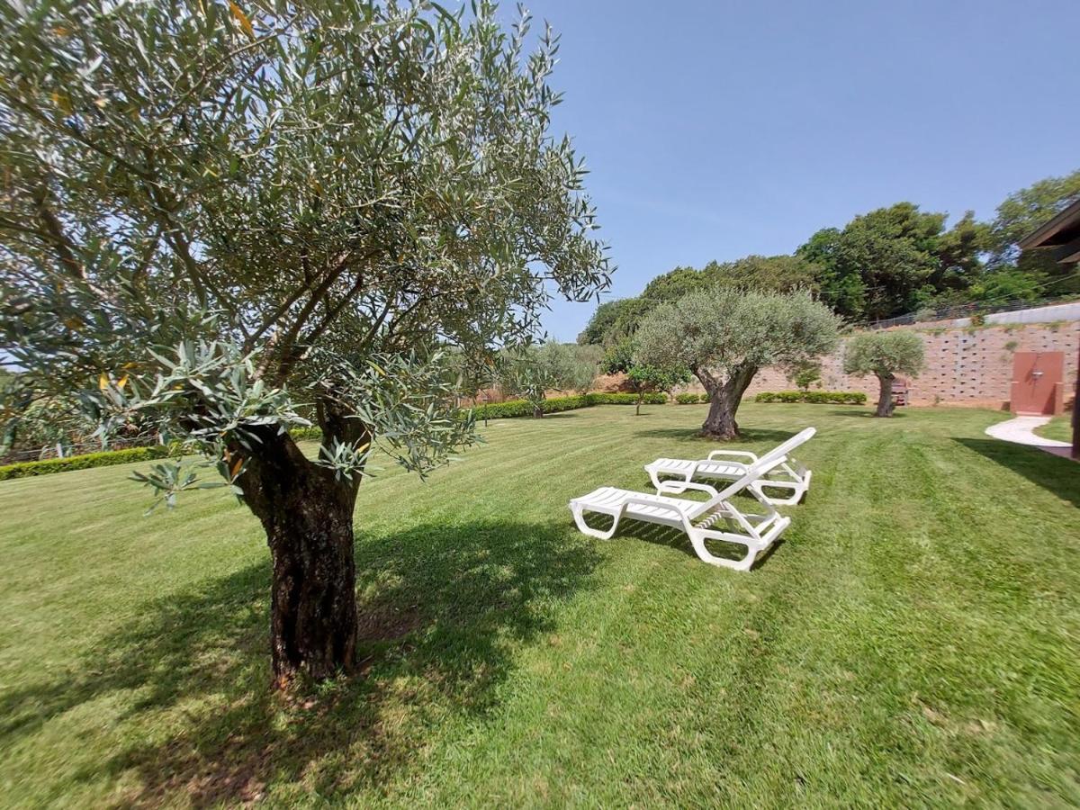 Villa Mimosa Tropea Ricadi Kültér fotó