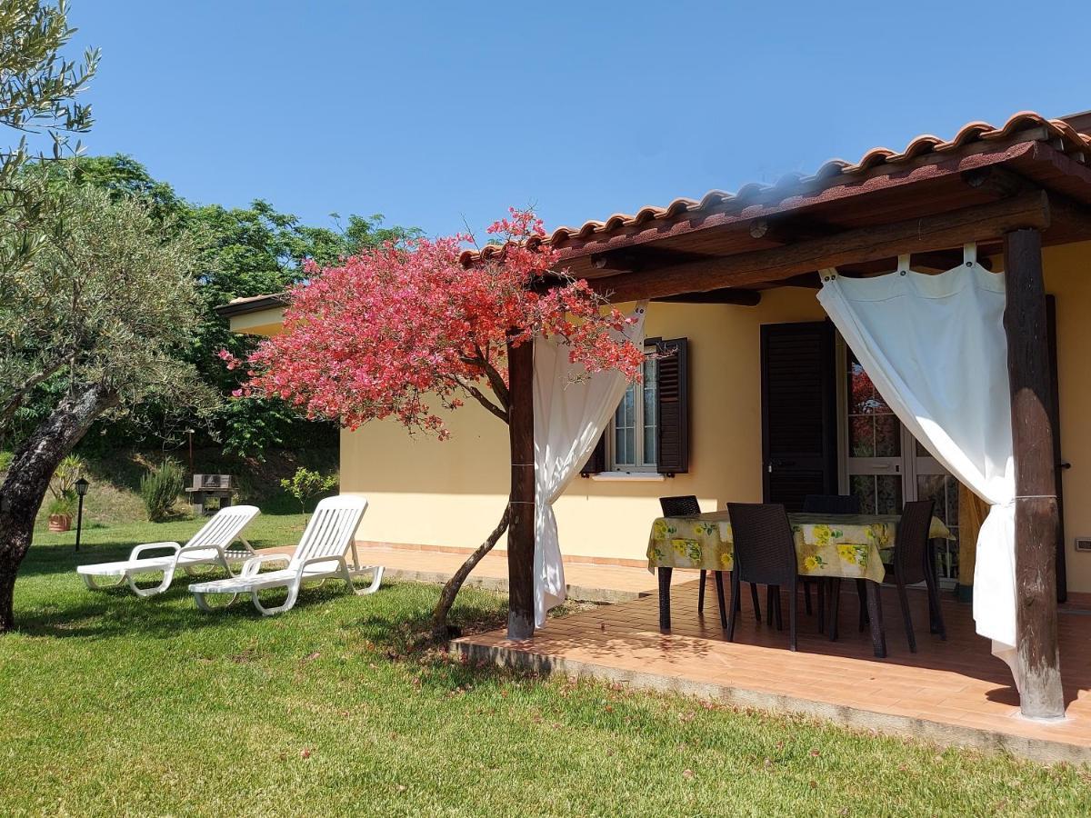 Villa Mimosa Tropea Ricadi Kültér fotó