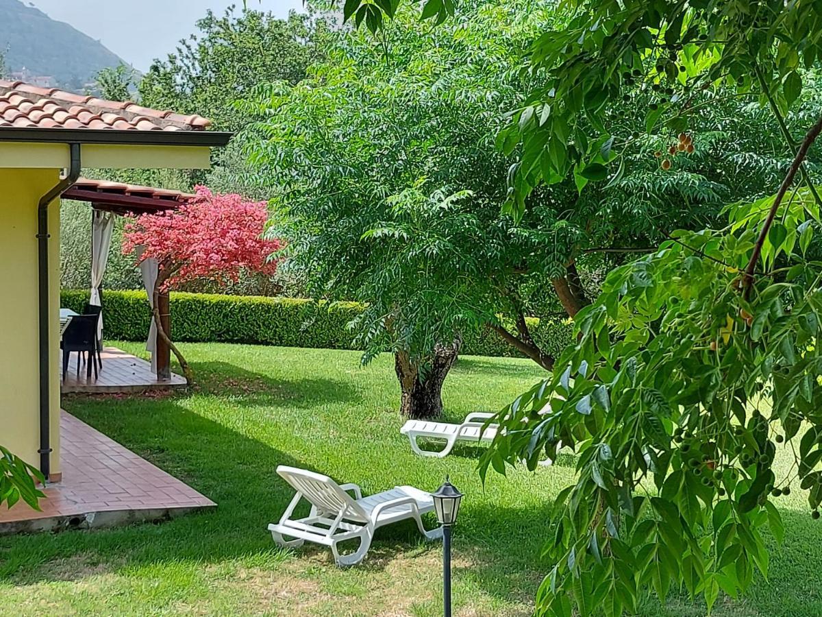 Villa Mimosa Tropea Ricadi Kültér fotó