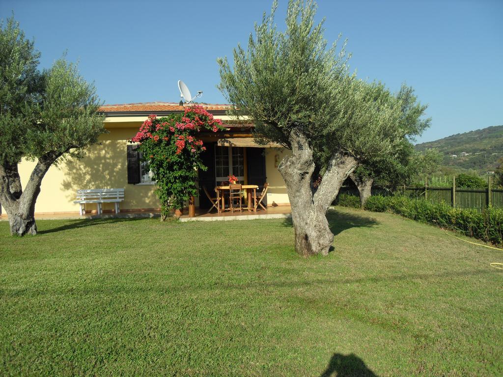 Villa Mimosa Tropea Ricadi Kültér fotó